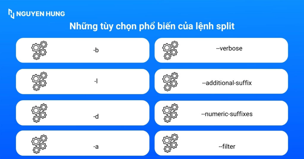 Những tùy chọn phổ biến của lệnh split