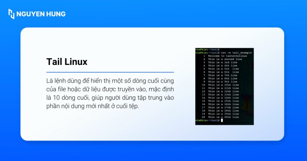 Lệnh tail trong Linux là lệnh dùng để hiển thị một số dòng cuối cùng của file hoặc dữ liệu được truyền vào