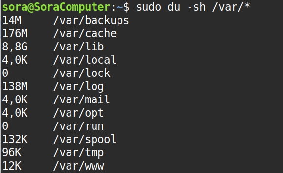 Kiểm tra và xử lý thư mục /var
