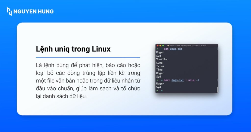 Lệnh uniq trong Linux là lệnh dùng để phát hiện, báo cáo hoặc loại bỏ các dòng trùng lặp liền kề trong một file