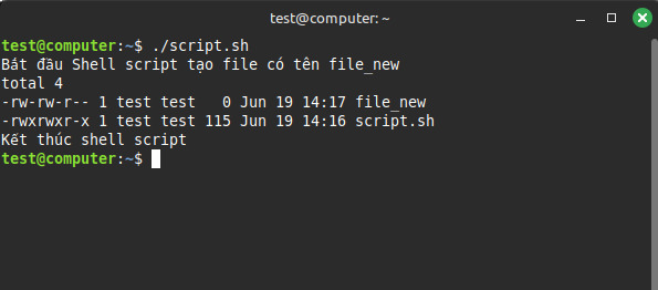Bạn cần lưu tệp và thực thi script với cú pháp ./script.sh