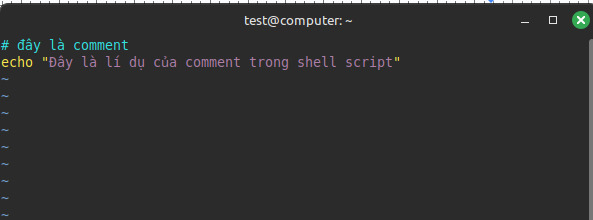 Bất kỳ dòng nào trong script bắt đầu bằng ký tự # thì các command ở phần còn lại của dòng đó sẽ không được thực thi