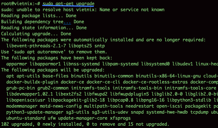 Nâng cấp tất cả các gói đã cài đặt