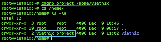 Thư mục /home/vietnix sẽ thuộc về group project.