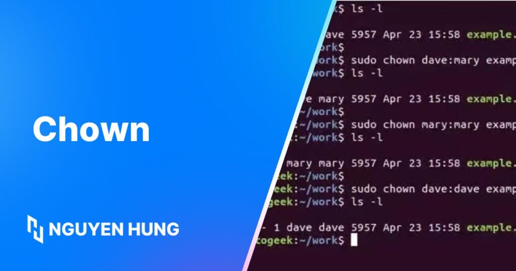 Sử dụng lệnh chown trên Linux để thay đổi quyền sở hữu file/thư mục nhanh chóng