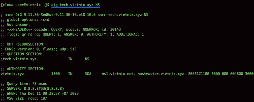Kết quả tìm kiếm bản ghi NS