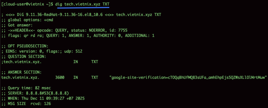 Kết quả tìm kiếm bản ghi TXT