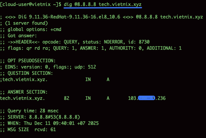 Chỉ định máy chủ DNS để truy vấn