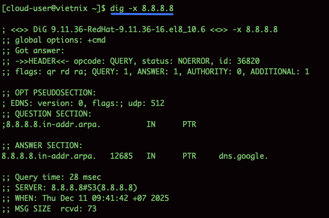 Phân giải địa chỉ IP thành tên miền