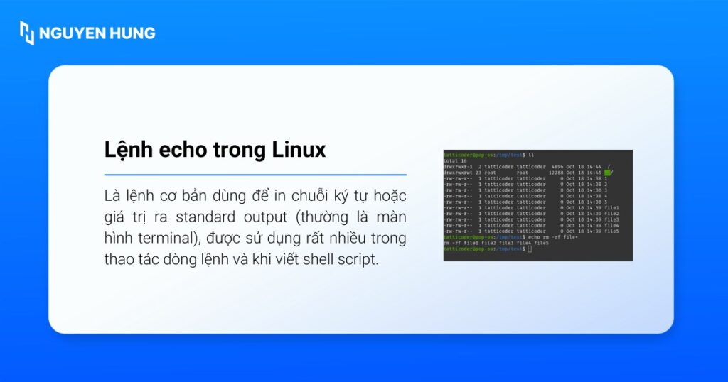 Lệnh echo trong Linux là lệnh cơ bản dùng để in chuỗi ký tự hoặc giá trị ra standard output