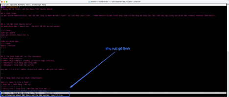 Khu vực gõ các lệnh như C-x C-c của emacs