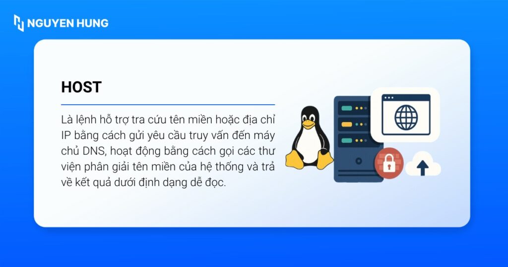 Host Linux là lệnh hỗ trợ tra cứu tên miền hoặc địa chỉ IP bằng cách gửi yêu cầu truy vấn đến máy chủ DNS
