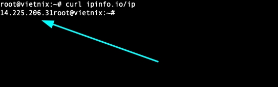 Kết quả sẽ trả về địa chỉ IP public của máy bạn ở dạng text thuần