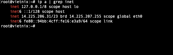 Kiểm tra nhanh IP server