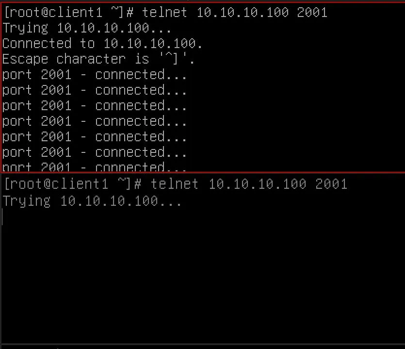 Từ Client1, bạn có thể telnet đến cổng 2001 một lần thành công