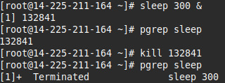 Output của câu lệnh sleep 300 &