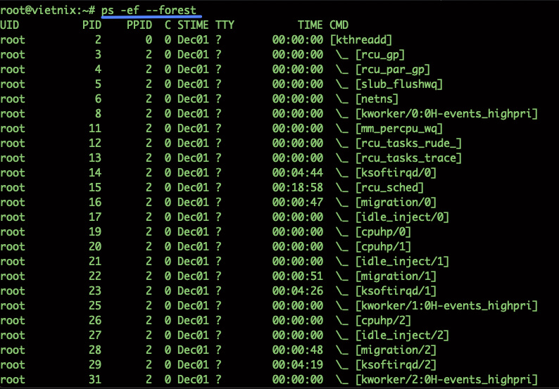 Xem cây tiến trình