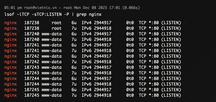Liệt kê các kết nối mạng đang mở, lọc TCP và trạng thái LISTEN