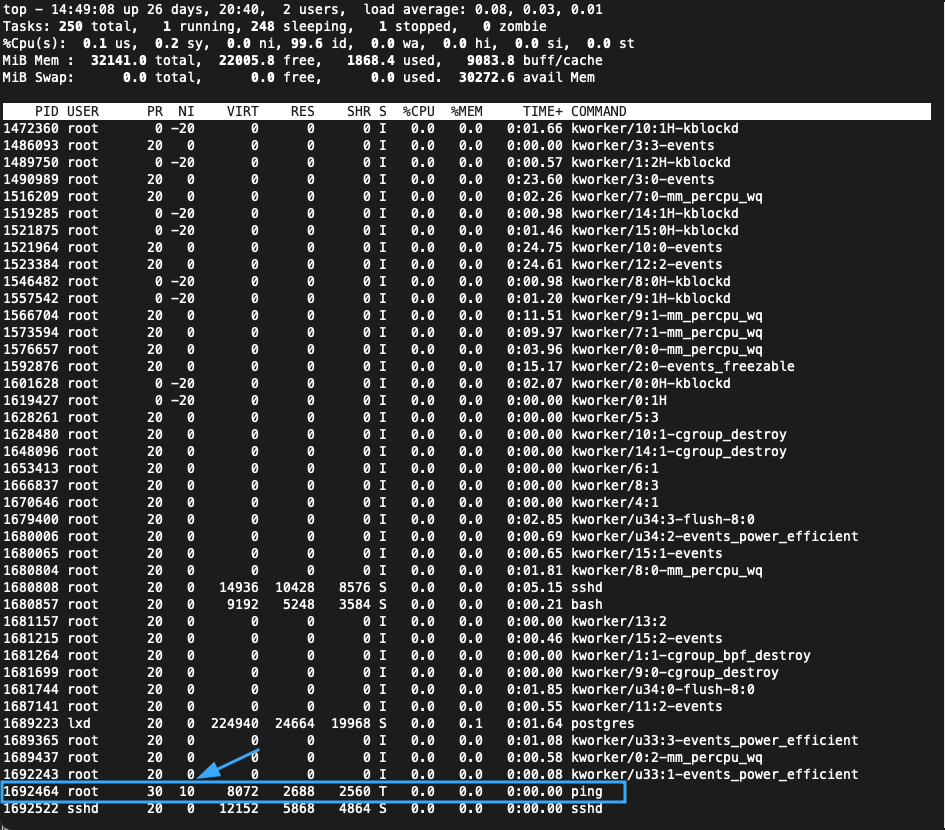 Tiến trình ping được thực thi với giá trị nice lớn hơn mức thông thường