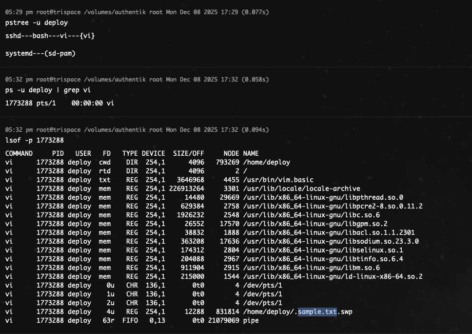 Kiểm tra tiến trình theo từng user