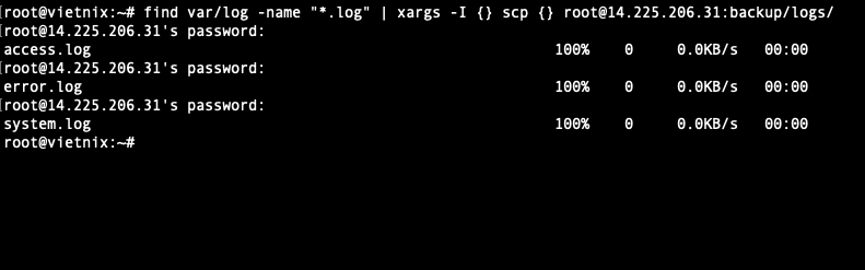 Copy file được tìm thấy bởi lệnh find