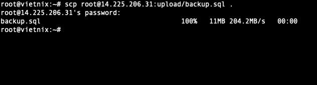 Copy file từ server lên local