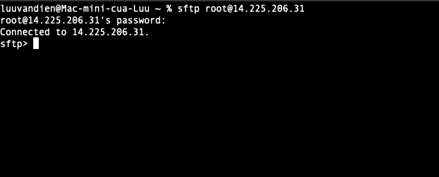 Tự động upload file backup