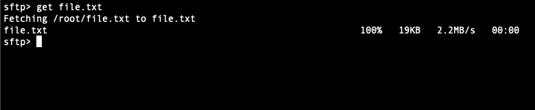 Tải file từ server về máy cá nhân