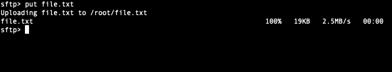 tải một file từ máy cá nhân lên server