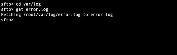 Tải log từ server về local