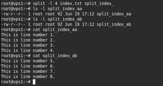 Kết quả của lệnh split -l 4 index.txt split_index_