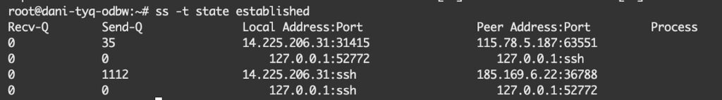 Liệt kê tất cả các kết nối TCP đã được thiết lập thành công