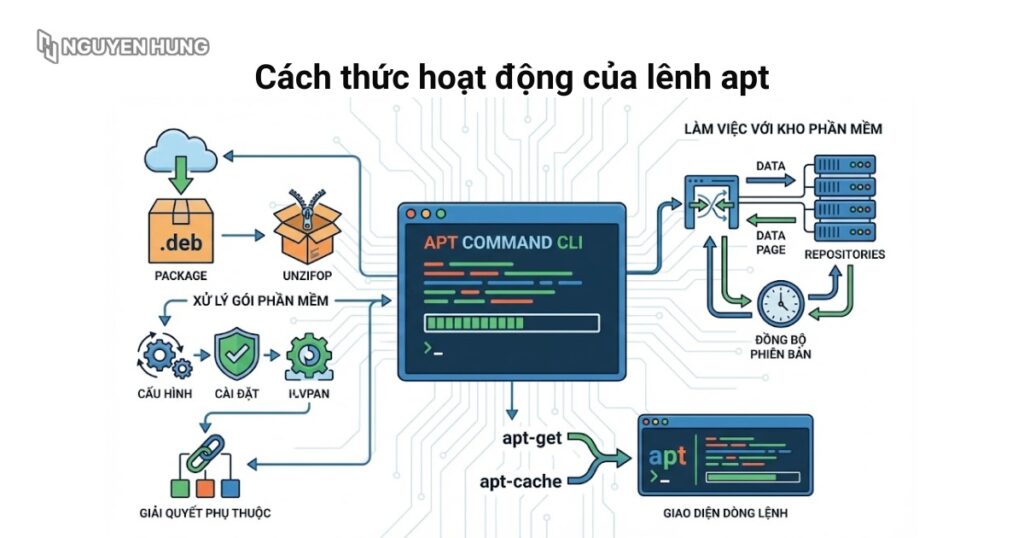 Cách thức hoạt động của lệnh apt