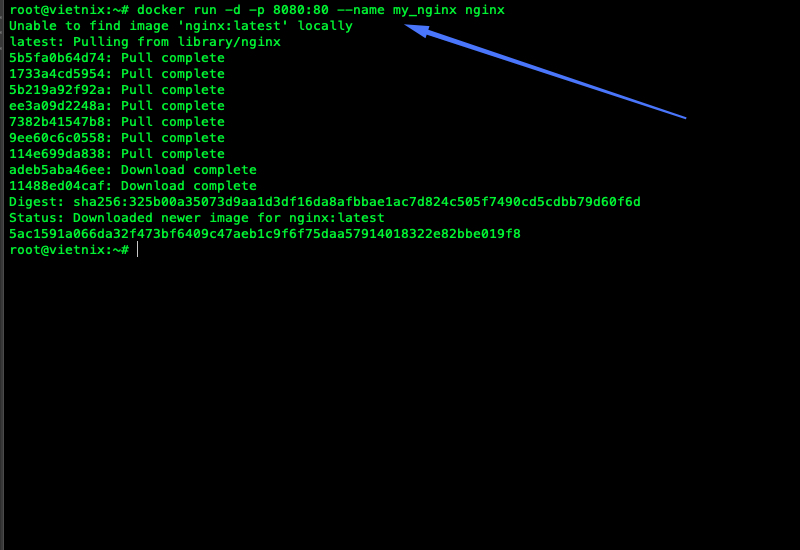 Lệnh docker run -d -p 8080:80 --name my_nginx nginx để khởi chạy Container đầu tiên