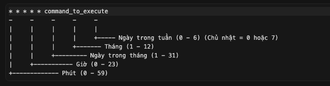 Một dòng lệnh tiêu chuẩn bao gồm 5 trường thời gian và 1 câu lệnh thực thi
