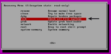 Chọn fsck để sửa chữa Root File System của Linux bằng fsck