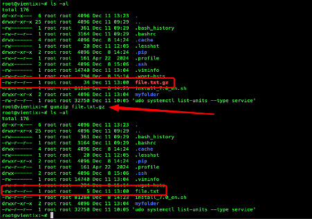 Lệnh gunzip file.txt.gz giúp giải nén file