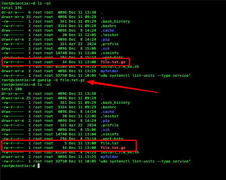 Lệnh gunzip -k file.txt.gz giúp giải nén giữ lại file nén