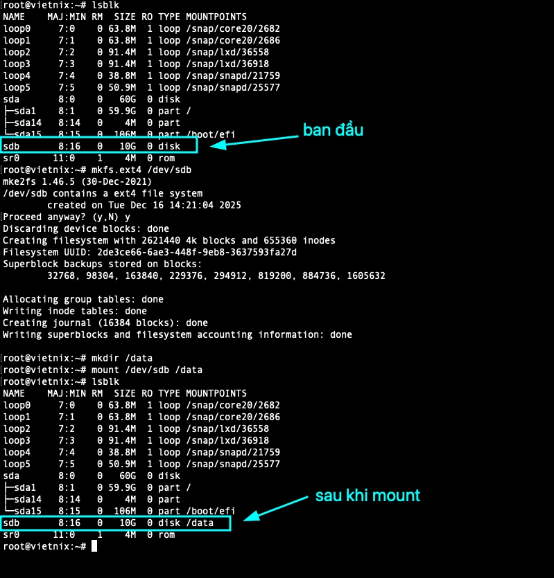 Mount ổ đĩa mới trên VPS
