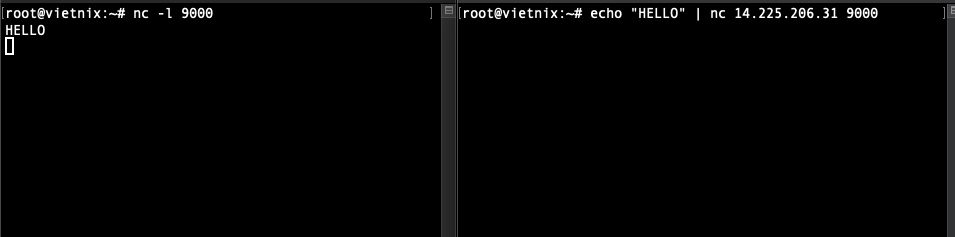 Kiểm tra khả năng gửi dữ liệu thô