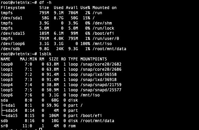 Kết quả hiển thị lệnh df -h và lsblk