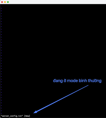 Phần mềm vim đang ở mode bình thường nên không thể gõ được