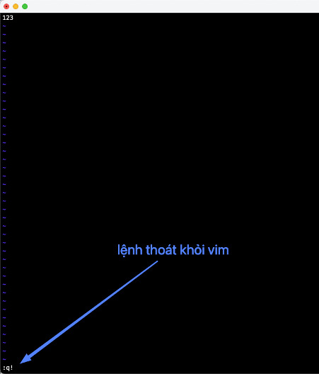 Bạn sử dụng lệnh :q! để thoát khỏi vim mà không lưu