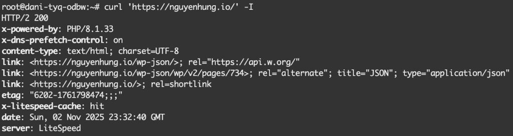 Kết quả kiểm thử khi lọc theo URI và tham số truy vấn