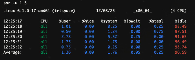 Kiểm tra nhanh trạng thái CPU