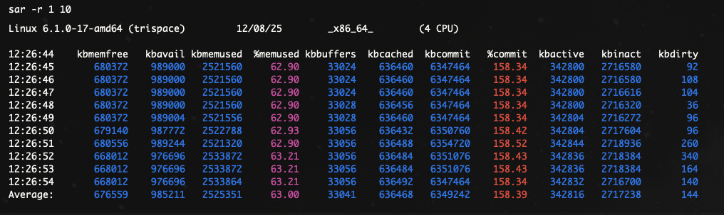 Kiểm tra RAM và Swap xem có bị memory leak theo thời gian không